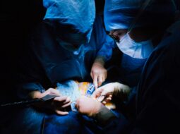 Cardiac Surgery on the Global Stage National and International Contributions That Shaped the Field